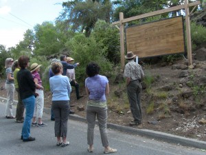 visitors learning