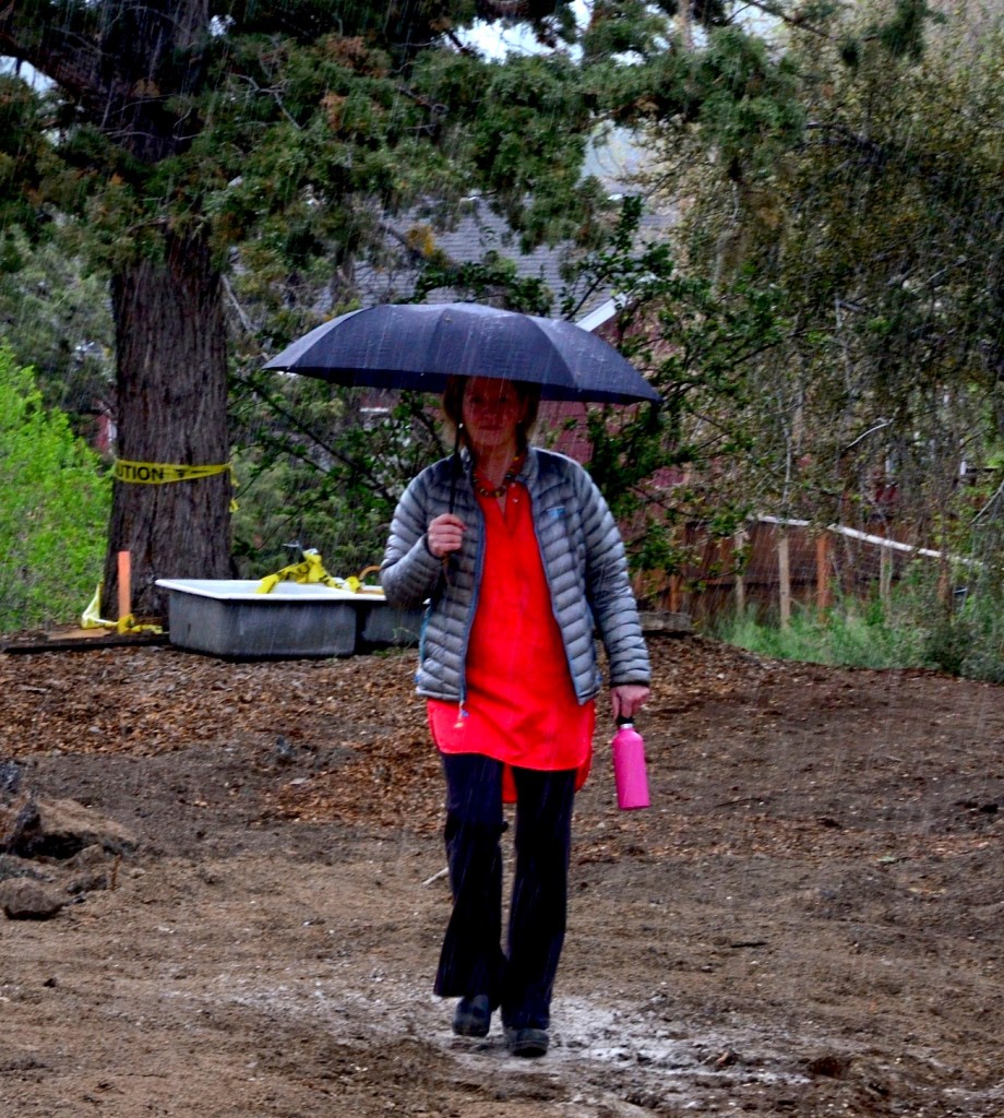 Barb in rain 2