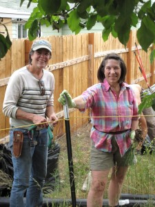 Yvonne Babb (left) and Dorothy Freudenberg tackling weeds. The team approach with good conversation and more hands makes the work more enjoyable.