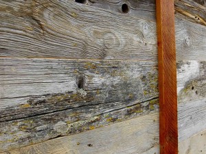 The lichen on the weathered, barn boards may continue to live and grow bringing beauty and nature.